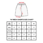 Casa de Lipa ‘Pink Lemonade’ NY Shorts (1)